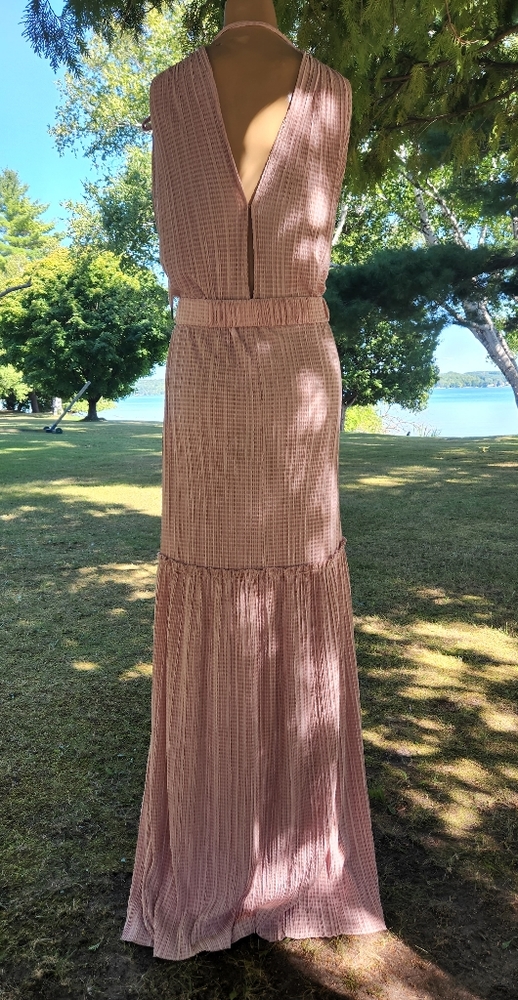 Sabina Musayev Blush Pink Maxi Dress with Plunging V-Neck - Picture 5 of 9
